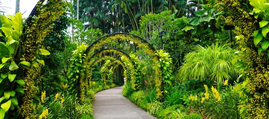 botanical gardens